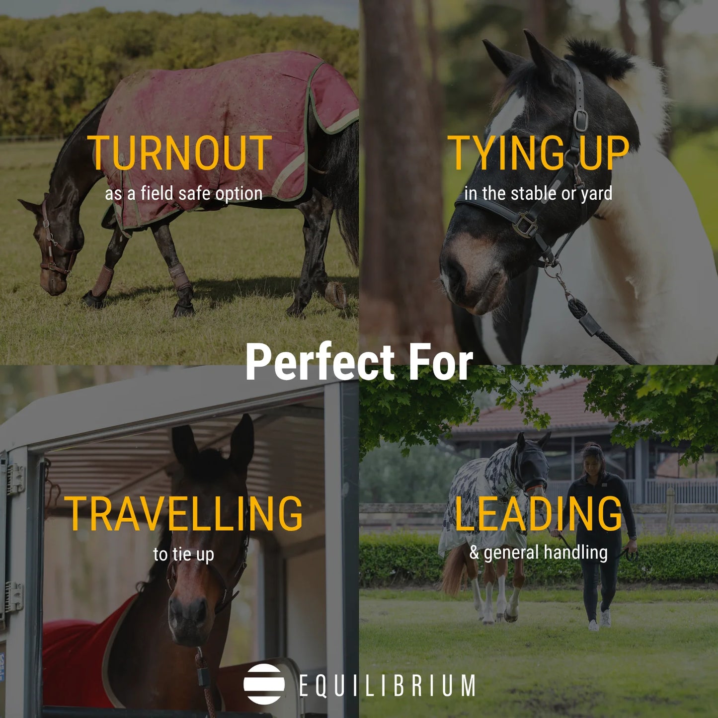 Stellar All Weather Headcollar, återanvändbar säkerhetsgrimma, flera färger