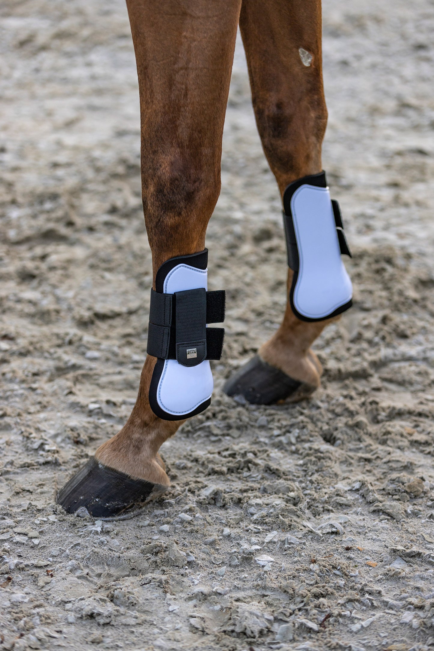 Imperial Riding Tendon Boots Lovely, prisvärda senskydd