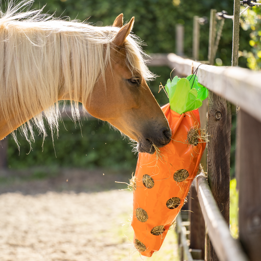 Imperial Riding Hay Fun Carrot, hönät format som en morot