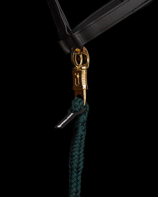 Lead Rope Classic PH, grimskaft panikhake