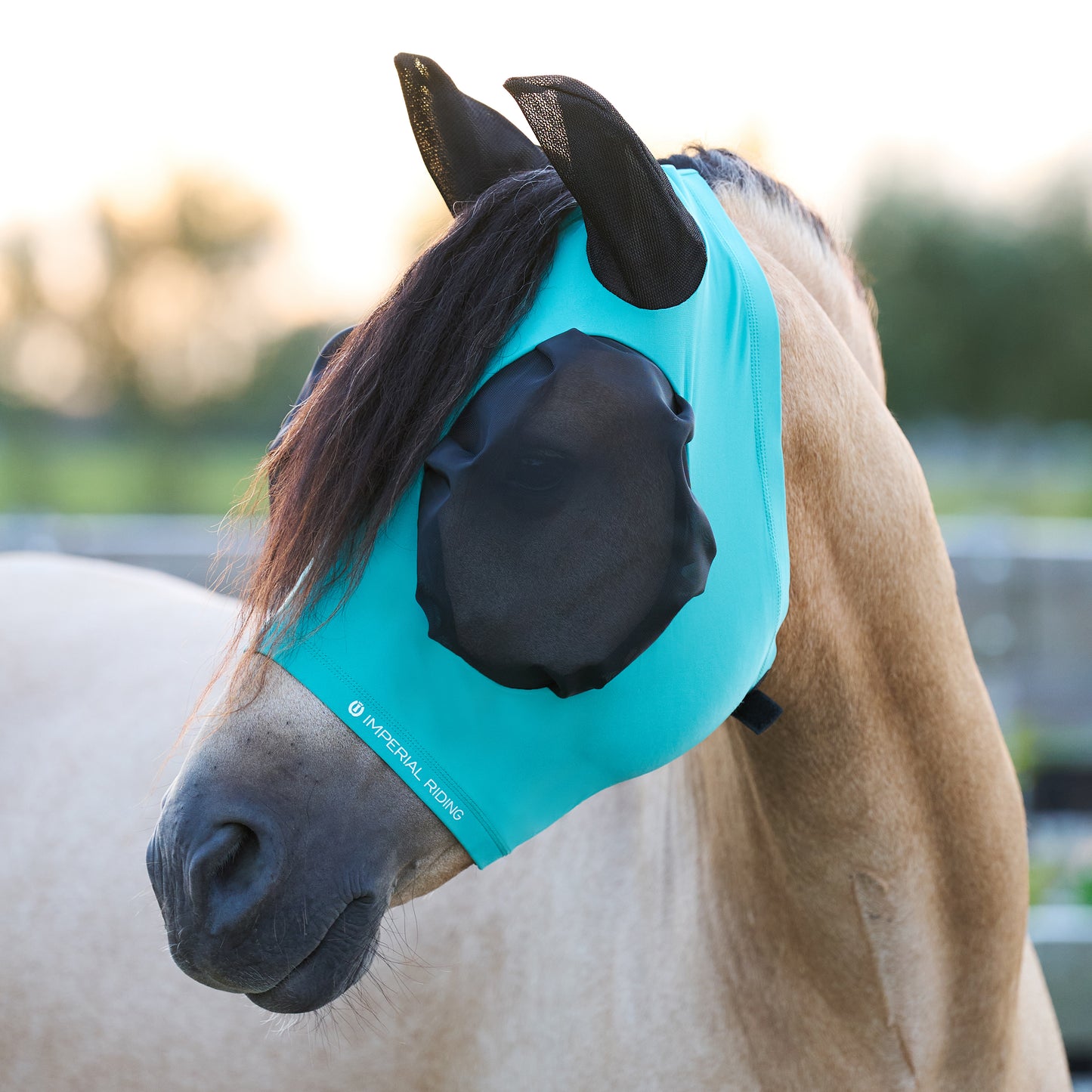 Imperial Riding Flymask Trail Ride, flughuva mesh ögon/öron
