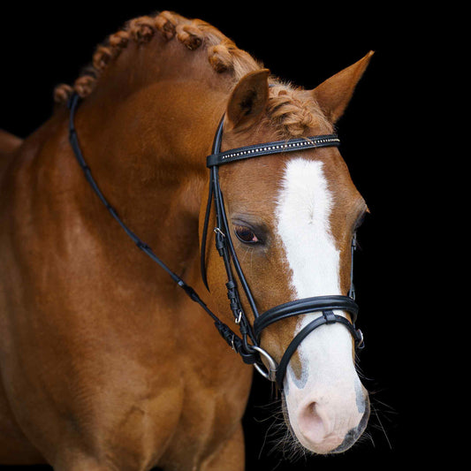 Imperial Riding Shetty Bridle Stormy, träns för minishettis/shettis