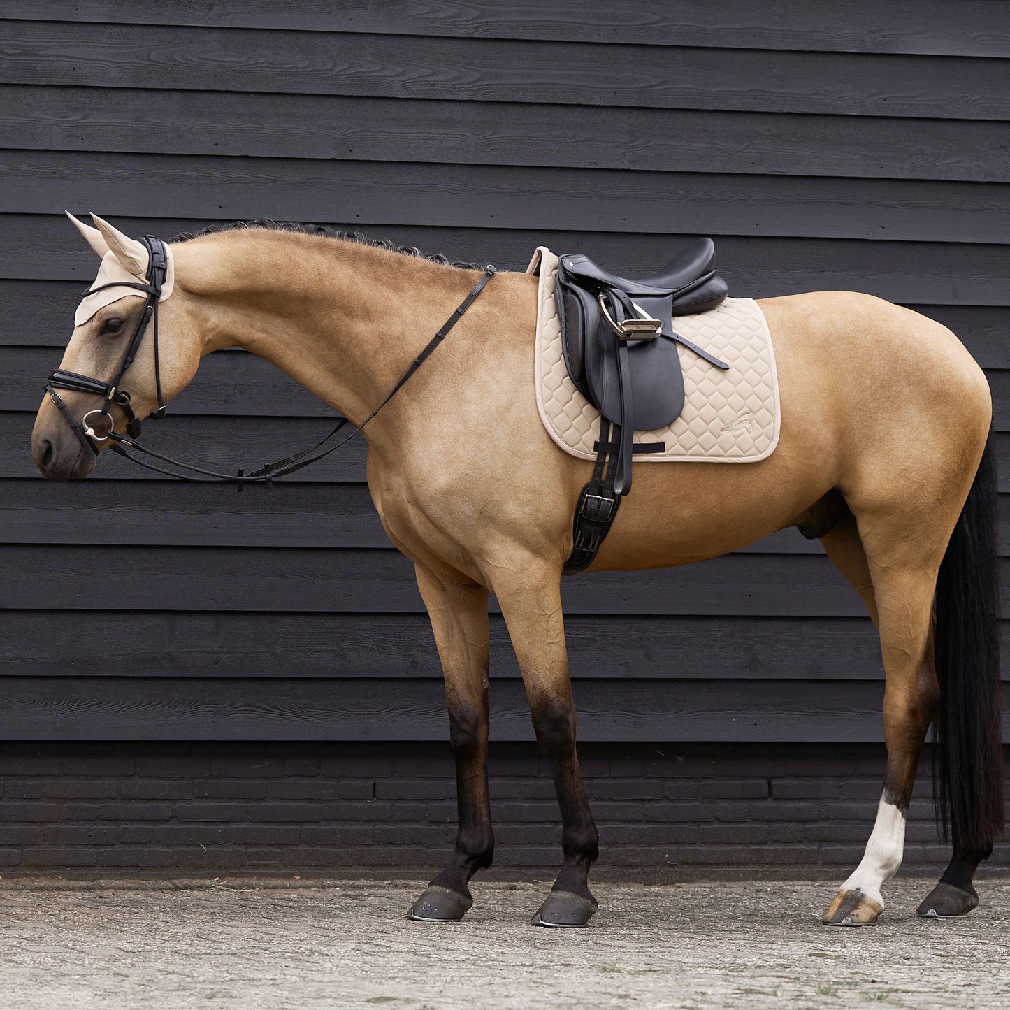 Euro-Star Saddlepad Coco, stilrent dressyrschabrak