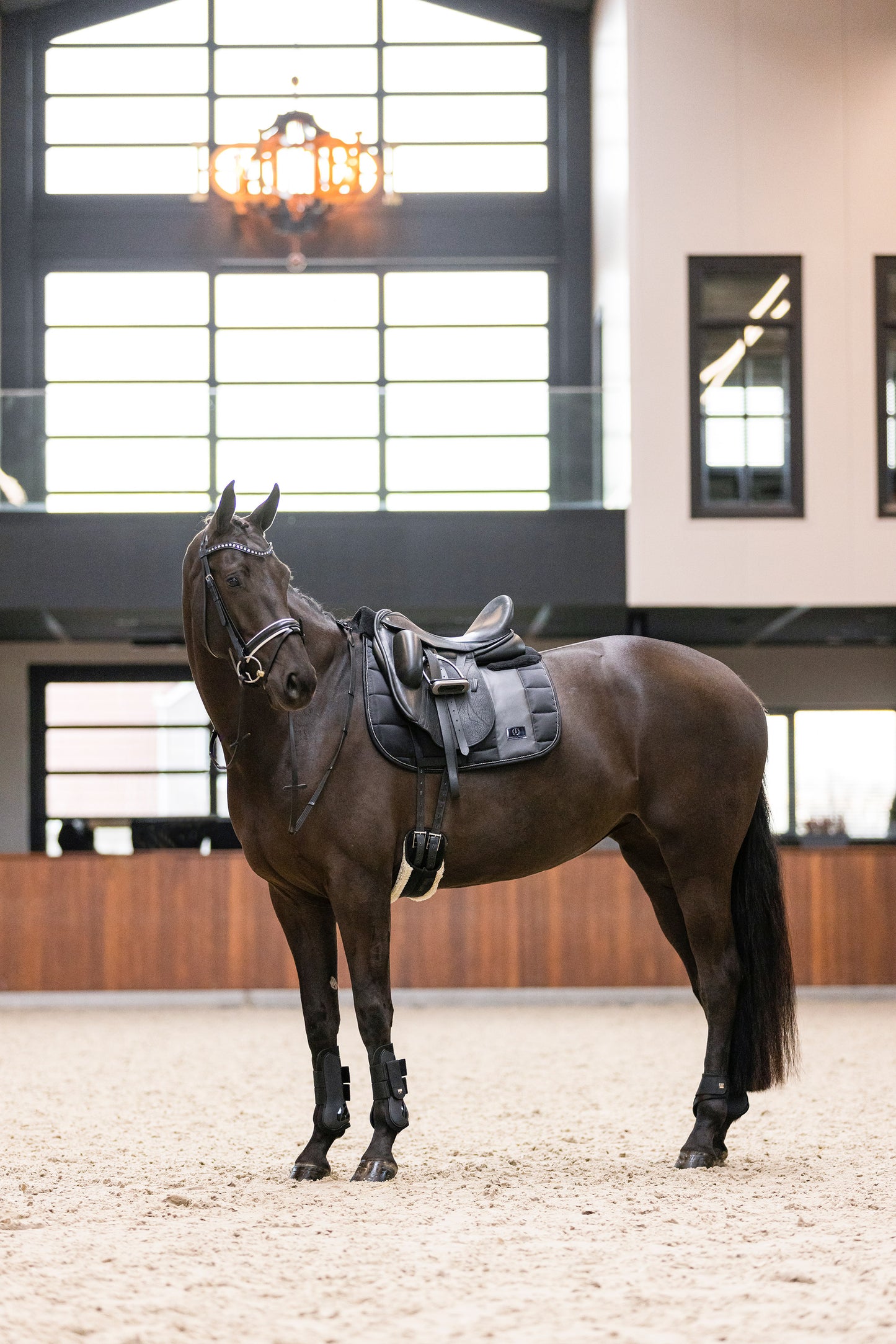 Imperial Riding Tendon Boots Lovely, prisvärda senskydd