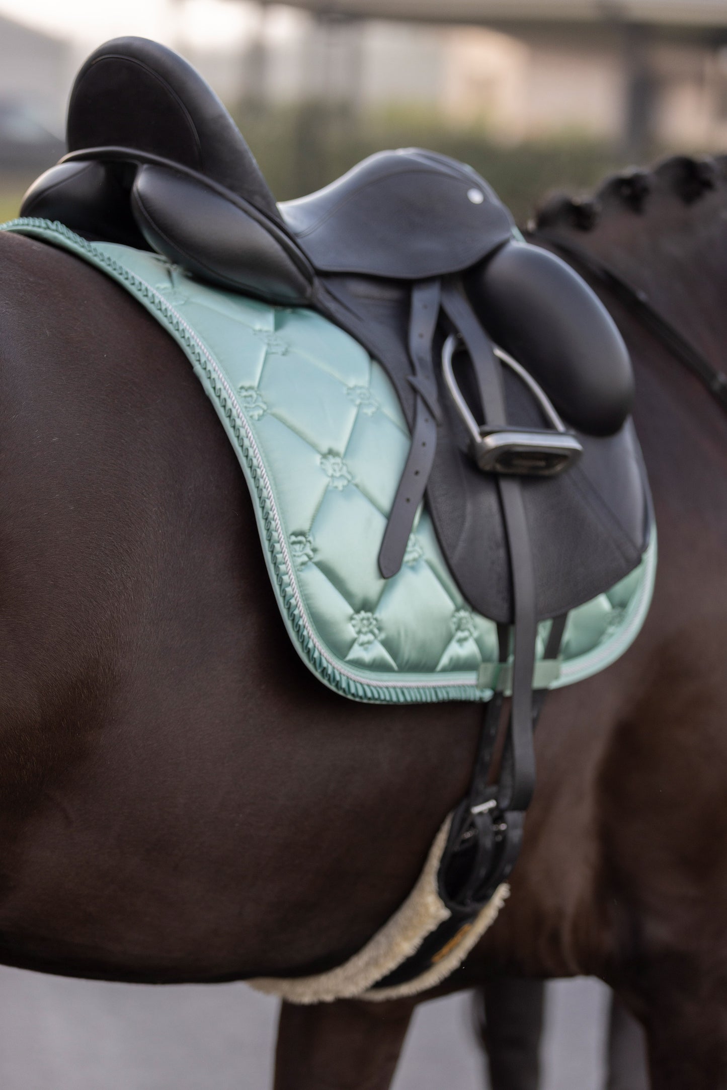 Imperial Riding Saddlepad Lovely GP,  snyggt hoppschabrak