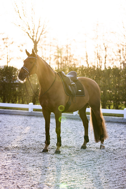 Imperial Riding Tendon Boots Lovely, prisvärda senskydd