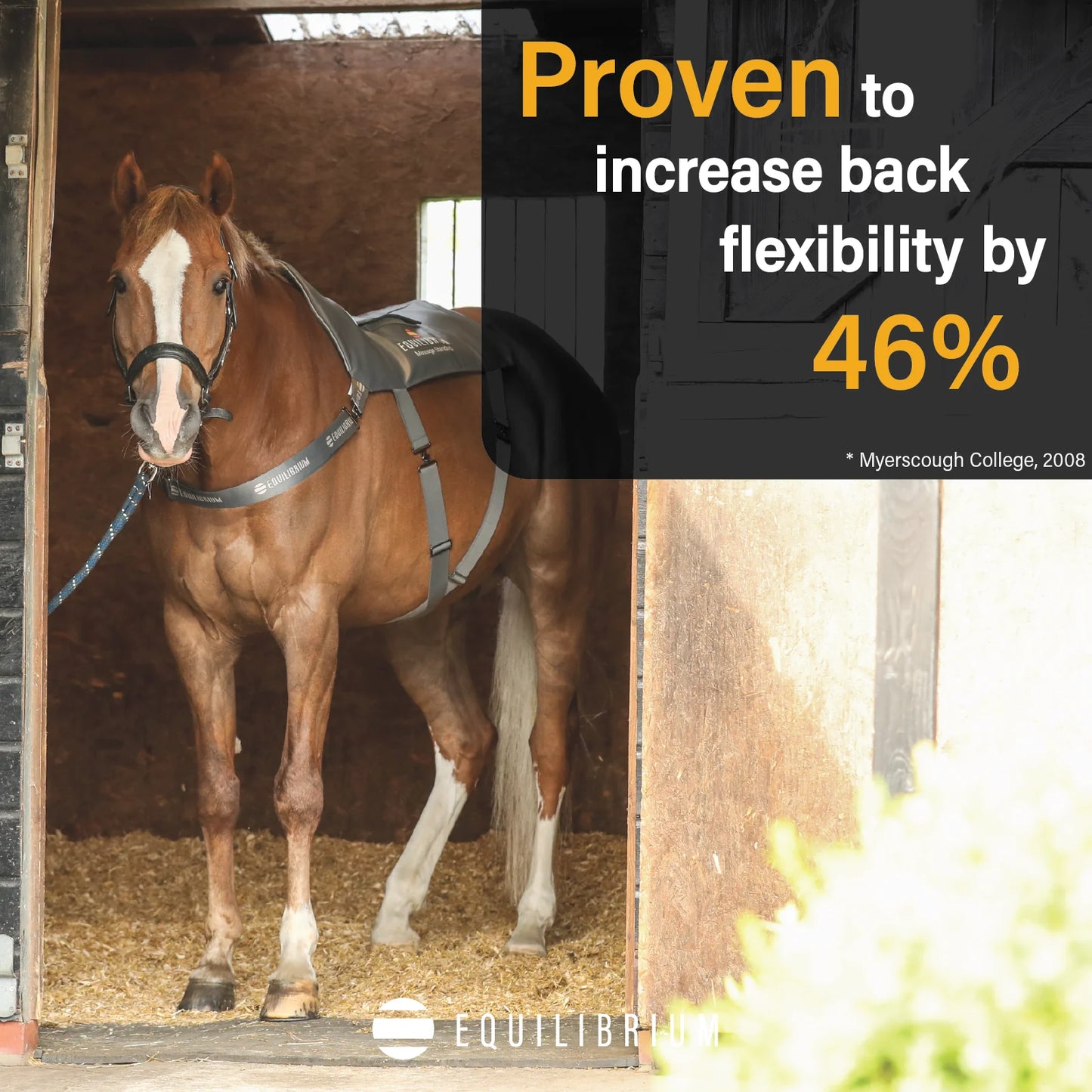 Equilibrium Massage Pad, massagepad för häst