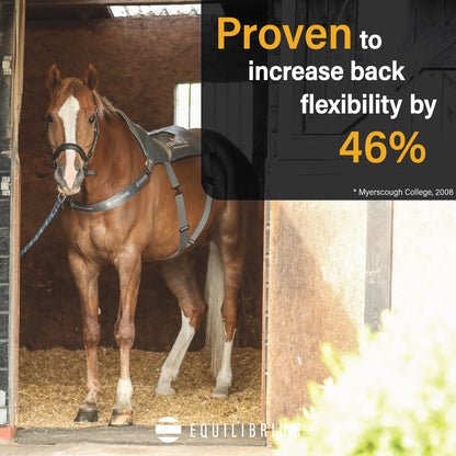 Equilibrium Massage Pad, massagepad för häst