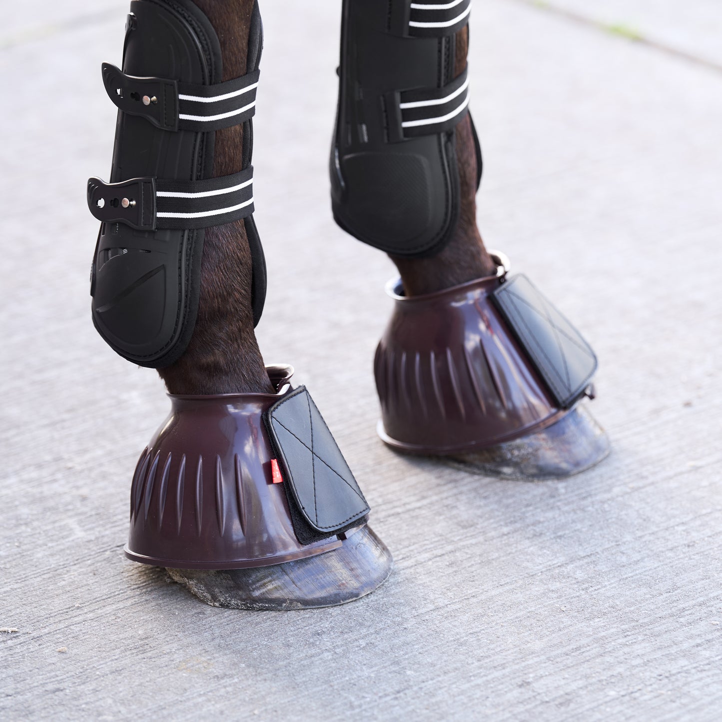 Imperial Riding Bellboots Bells PVC, klassiska boots PVC