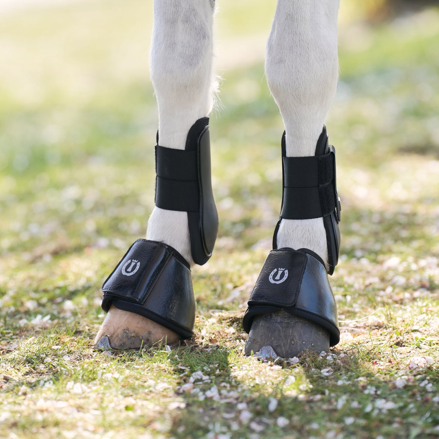 Bellboots Rebel, boots till de minsta hästarna