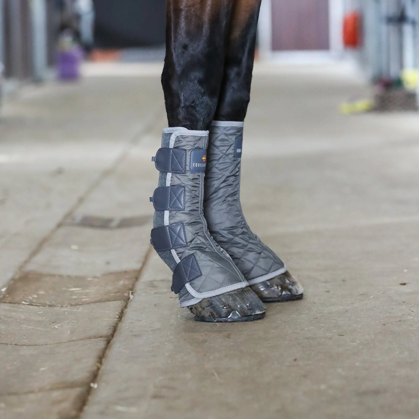 Equilibrium Therapy Magnetic Chaps, stallboots med möjlighet till magnetterapi