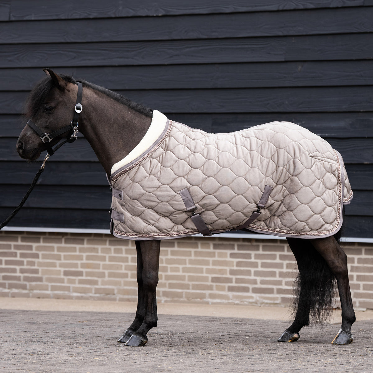 Show Blanket Bandit, showtäcke