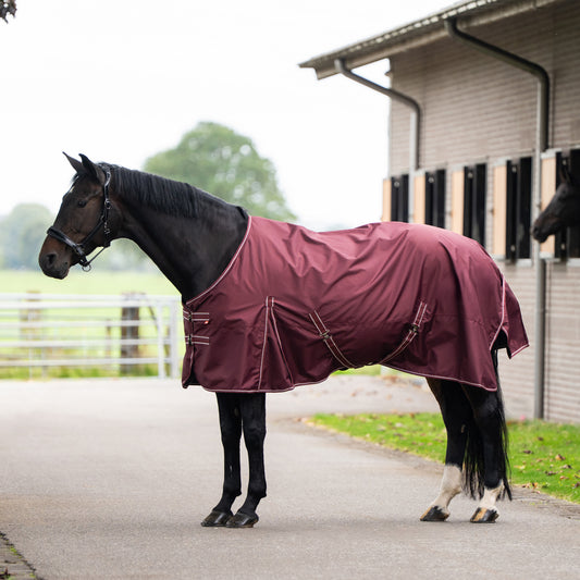 Outdoor blanket Basic, 200g without neck, utetäcke i flera färger