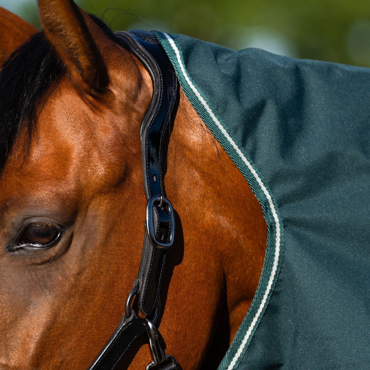 Outdoor blanket Basic with detachable neck 200gr, utetäcke flera färger