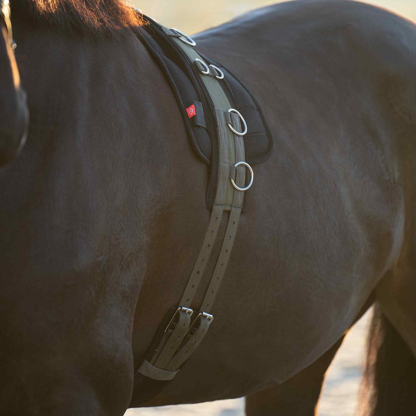 Imperial Riding Lunging Girth Nylon, vadderad longergjord