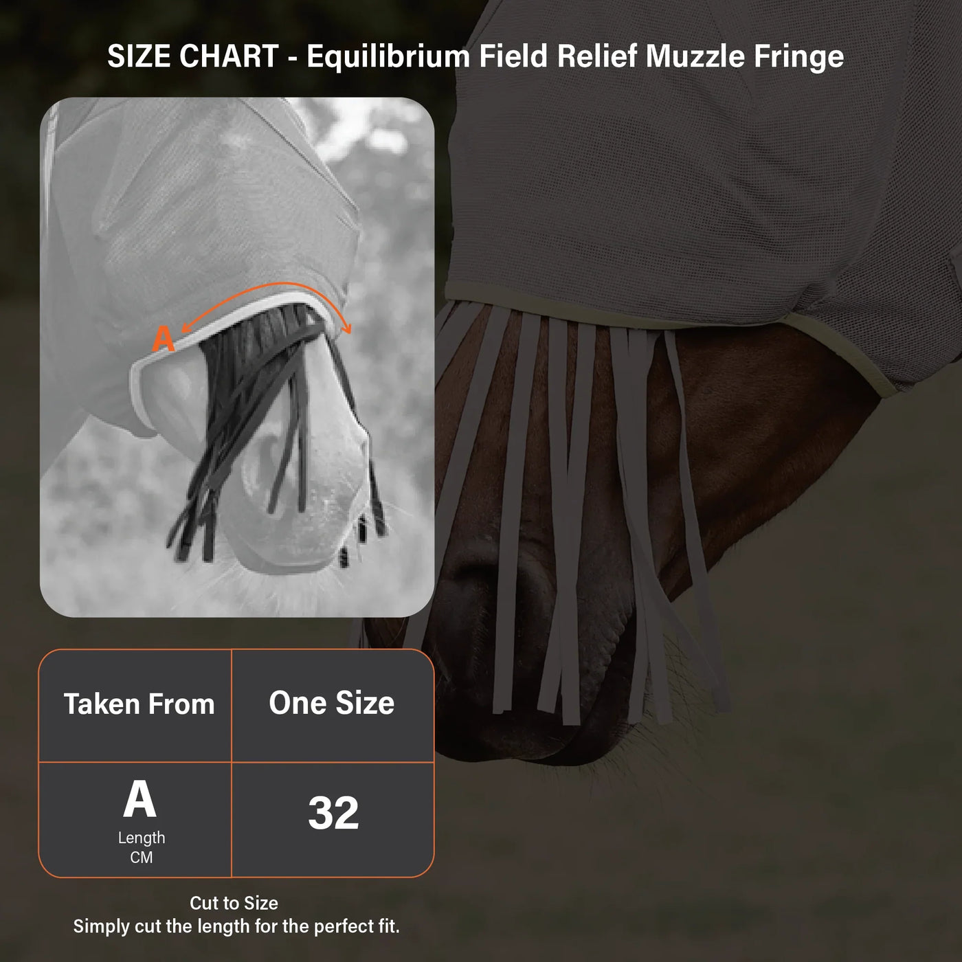 Field Relief Muzzle Fringe Equilibrium