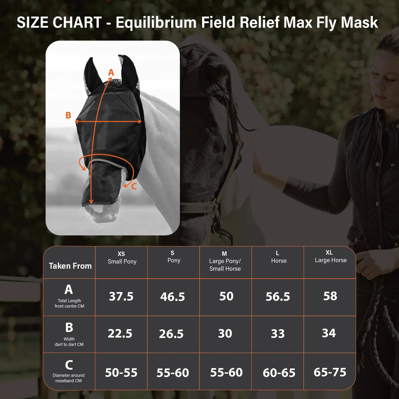 Field Relief Max Equilibrium