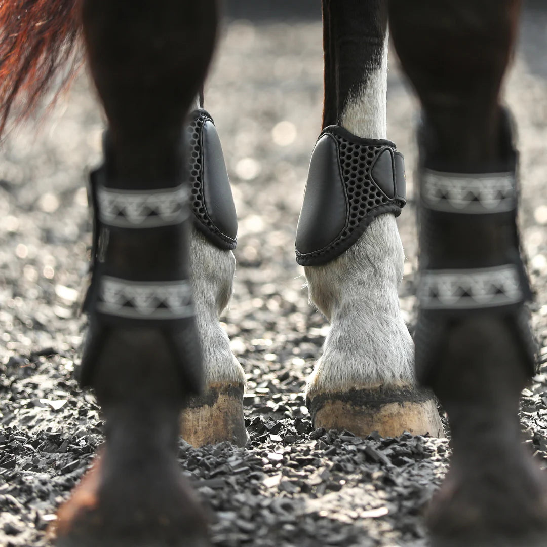 Equilibrium Tri-Zone Fetlock Boots, lätta bakbensskydd