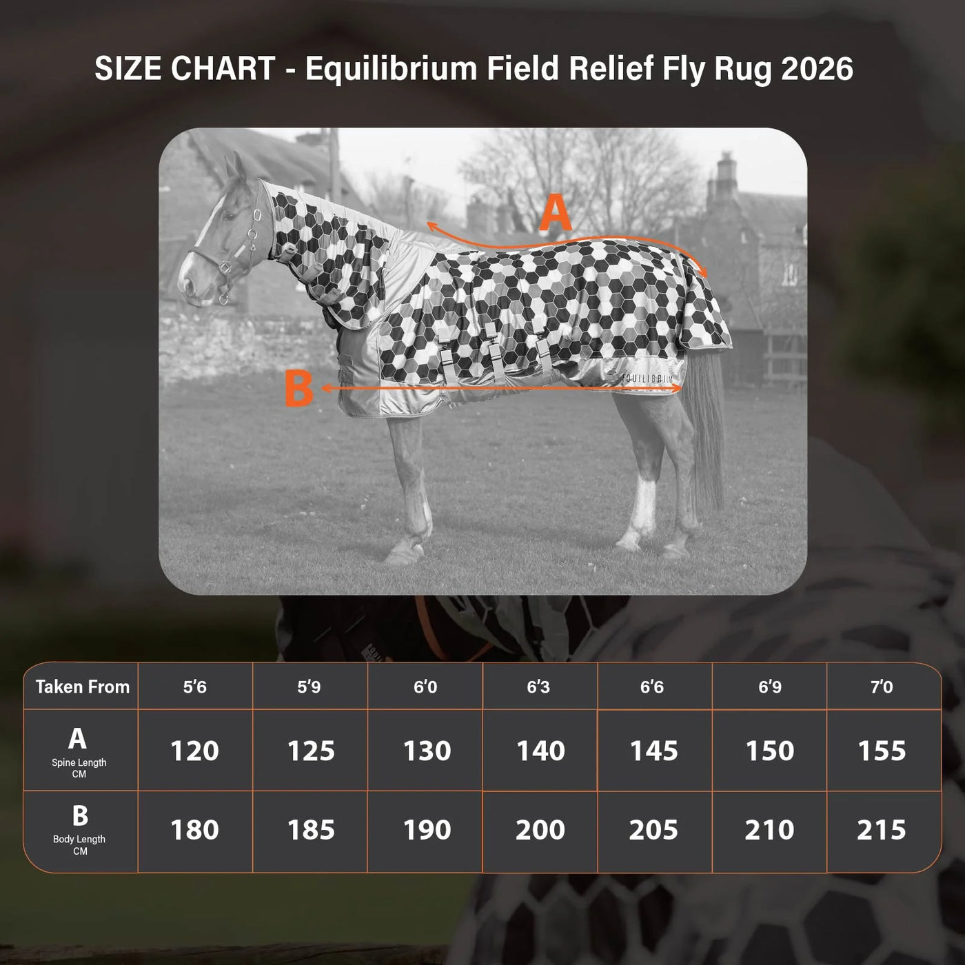 Field Relif Fly Rug Equilibrium