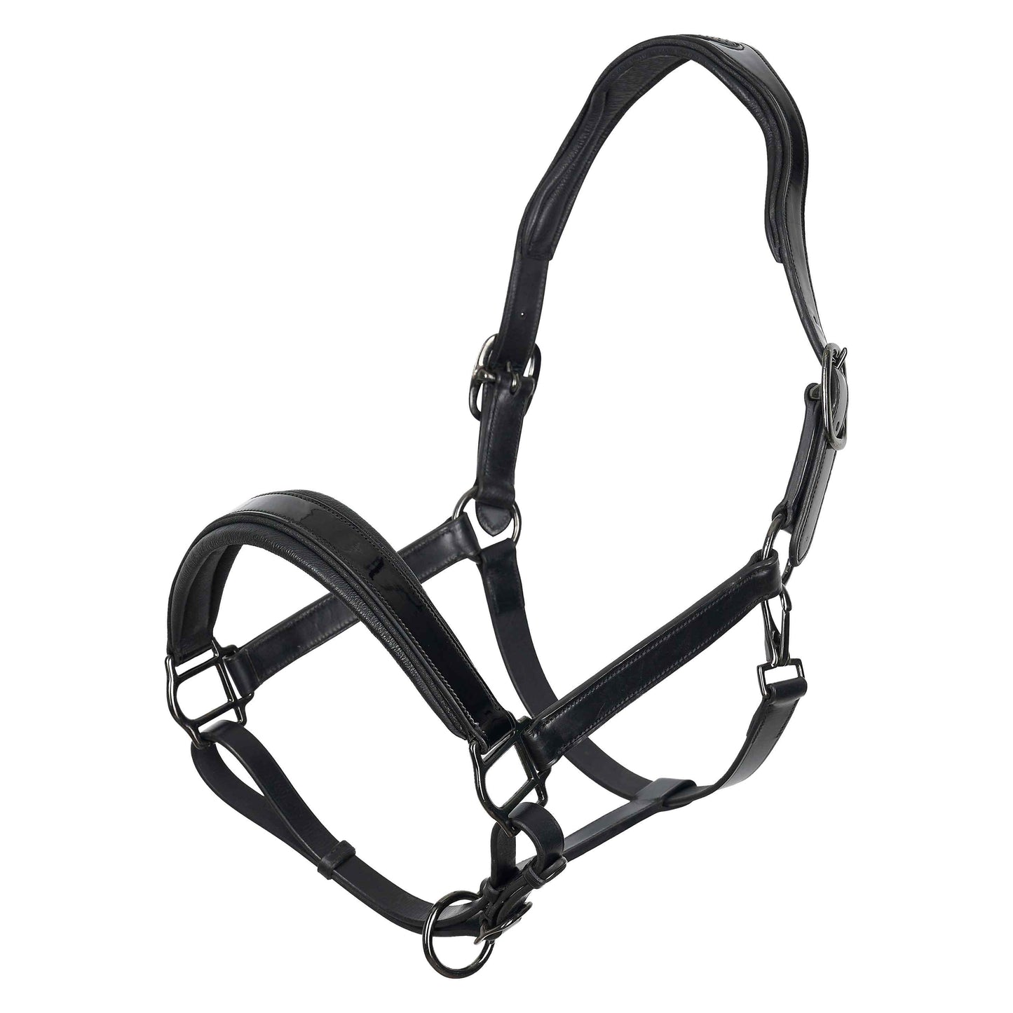 Imperial Riding Headcollar Hera, lackad lädergrimma med vaddering