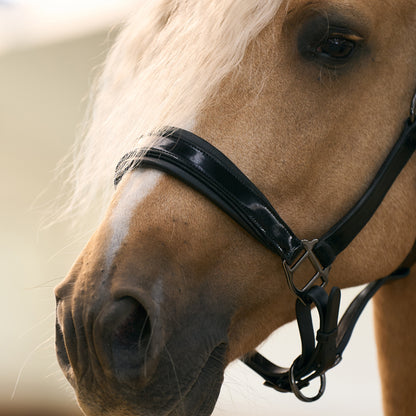 Imperial Riding Headcollar Hera, lackad lädergrimma med vaddering