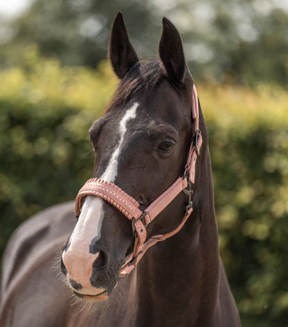 Imperial Riding Headcollar Lovely, dekorerad grimma i nylon