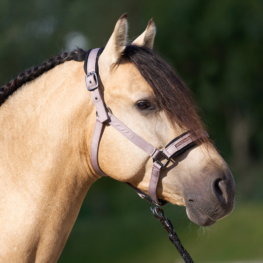 Imperial Riding Headcollar Jewel Mesh, vadderad grimma med mesh