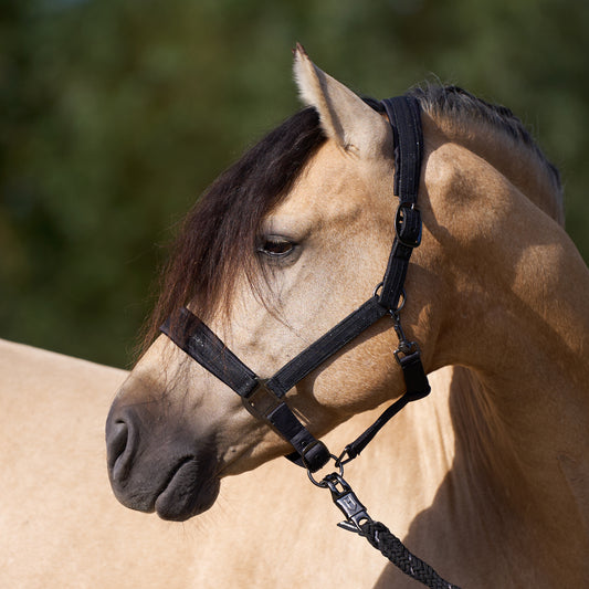 Imperial Riding Headcollar Sparkle, glittrande grimma i nylon