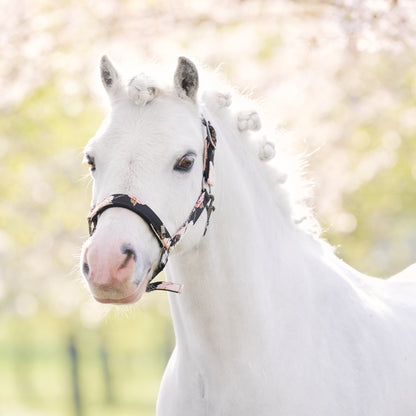 Headcollar Rebel, grimma från shettis upp till storhäst, flera färger