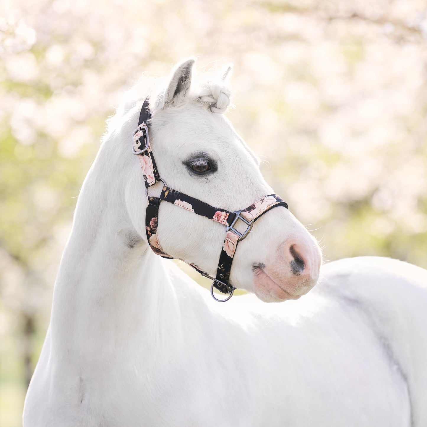 Headcollar Rebel, grimma från shettis upp till storhäst, flera färger