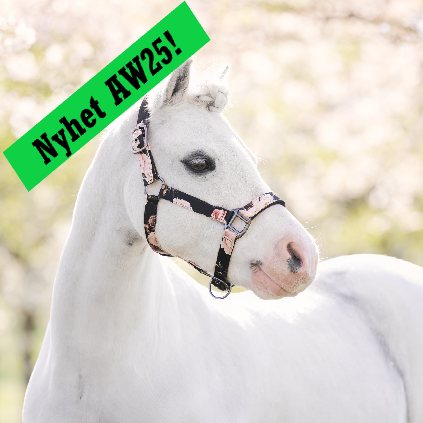 Headcollar Rebel, grimma från shettis upp till storhäst, flera färger