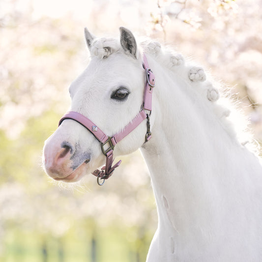 Imperial Riding Headcollar Rebel, grimma för shettis i nylon med satin överdrag