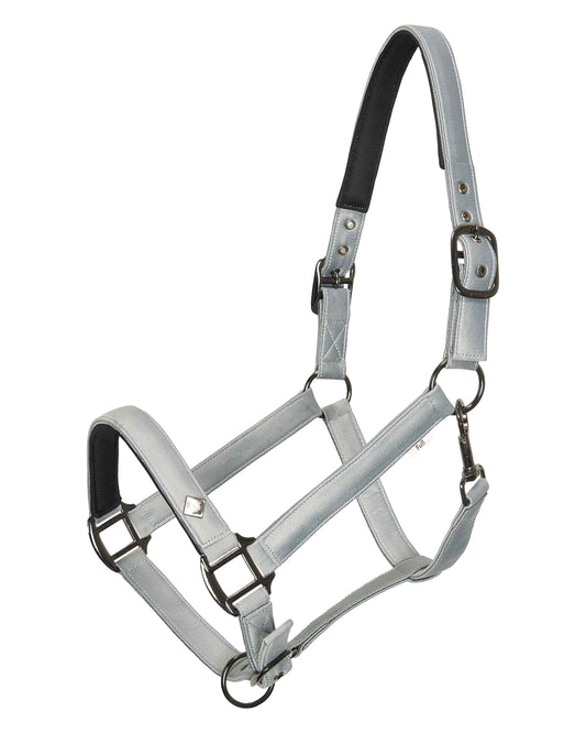 Headcollar Rebel, grimma shettis upp till storhäst