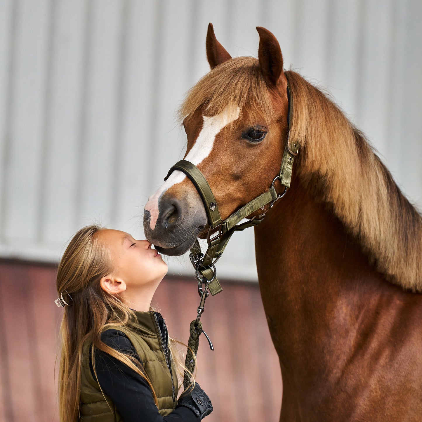 Headcollar Rebel, grimma från shettis upp till storhäst, flera färger