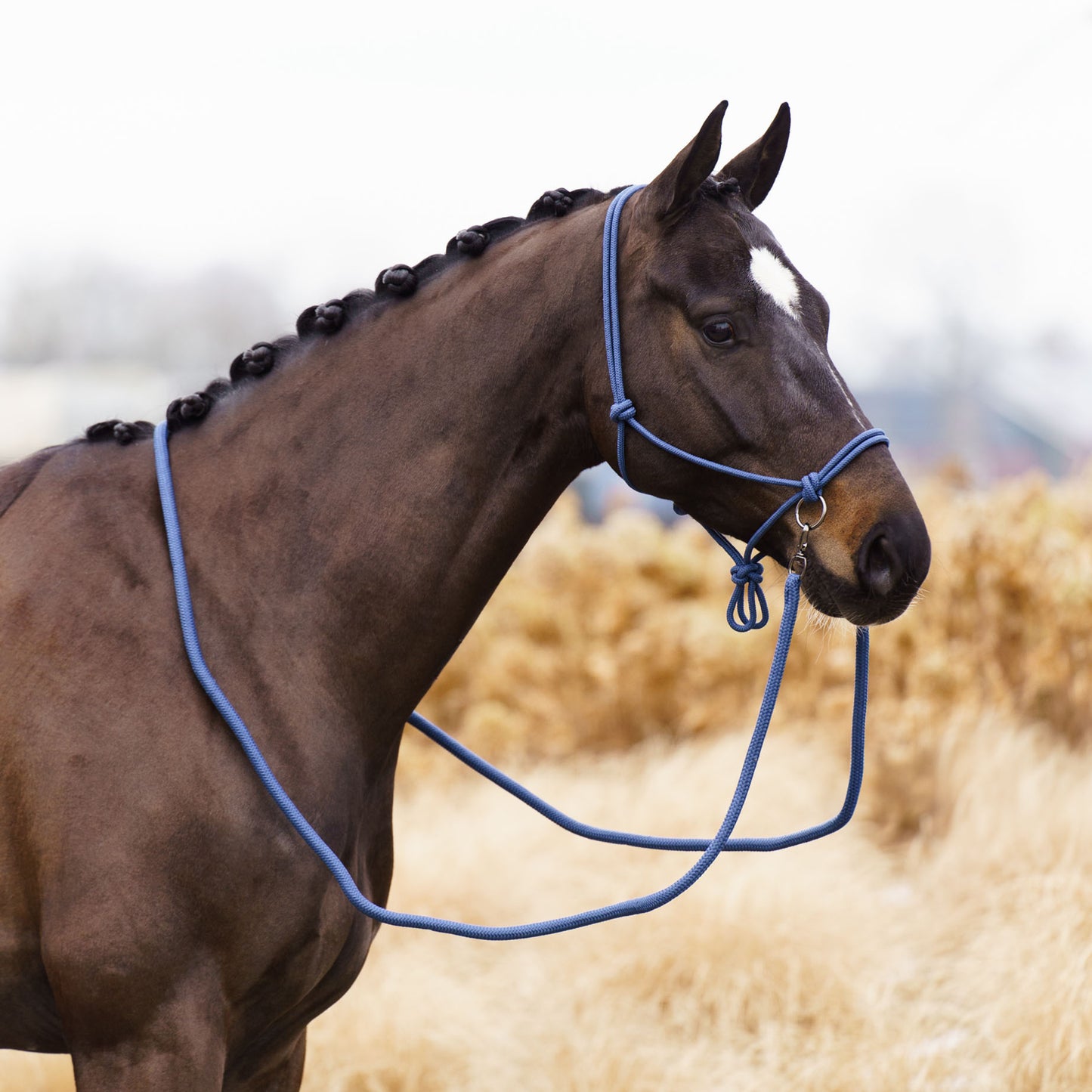 Imperial Riding Rope Headcollar Free Ride, repgrimma