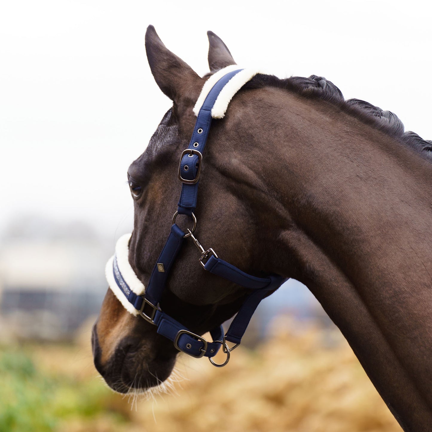 Imperial Riding Headcollar Jewel, vadderad grimma i nylon