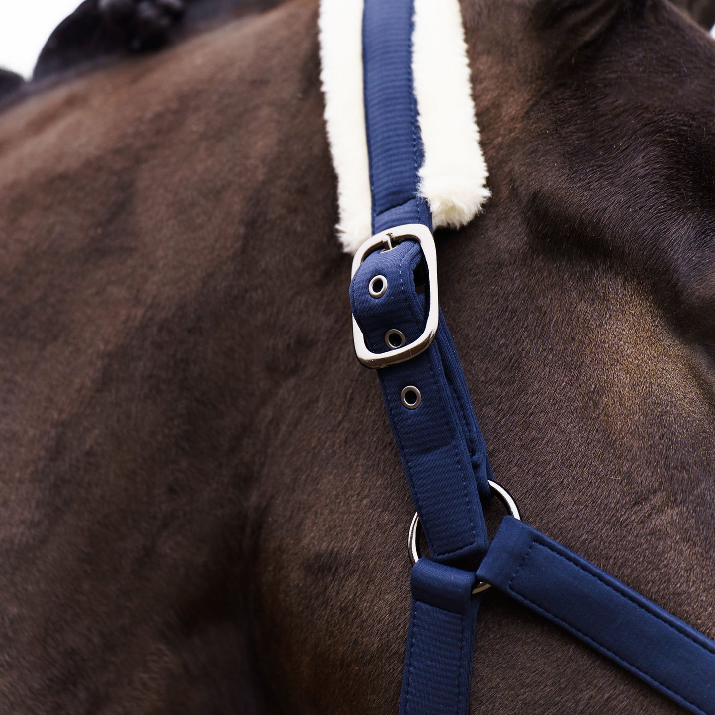 Imperial Riding Headcollar Jewel, vadderad grimma i nylon