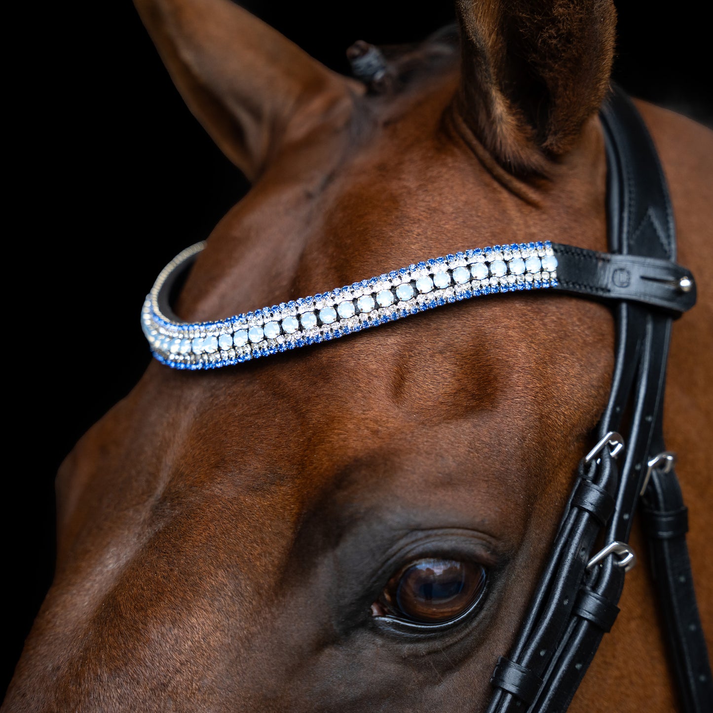 Browband Maxima, läderpannband med Rhinestones, flera färger