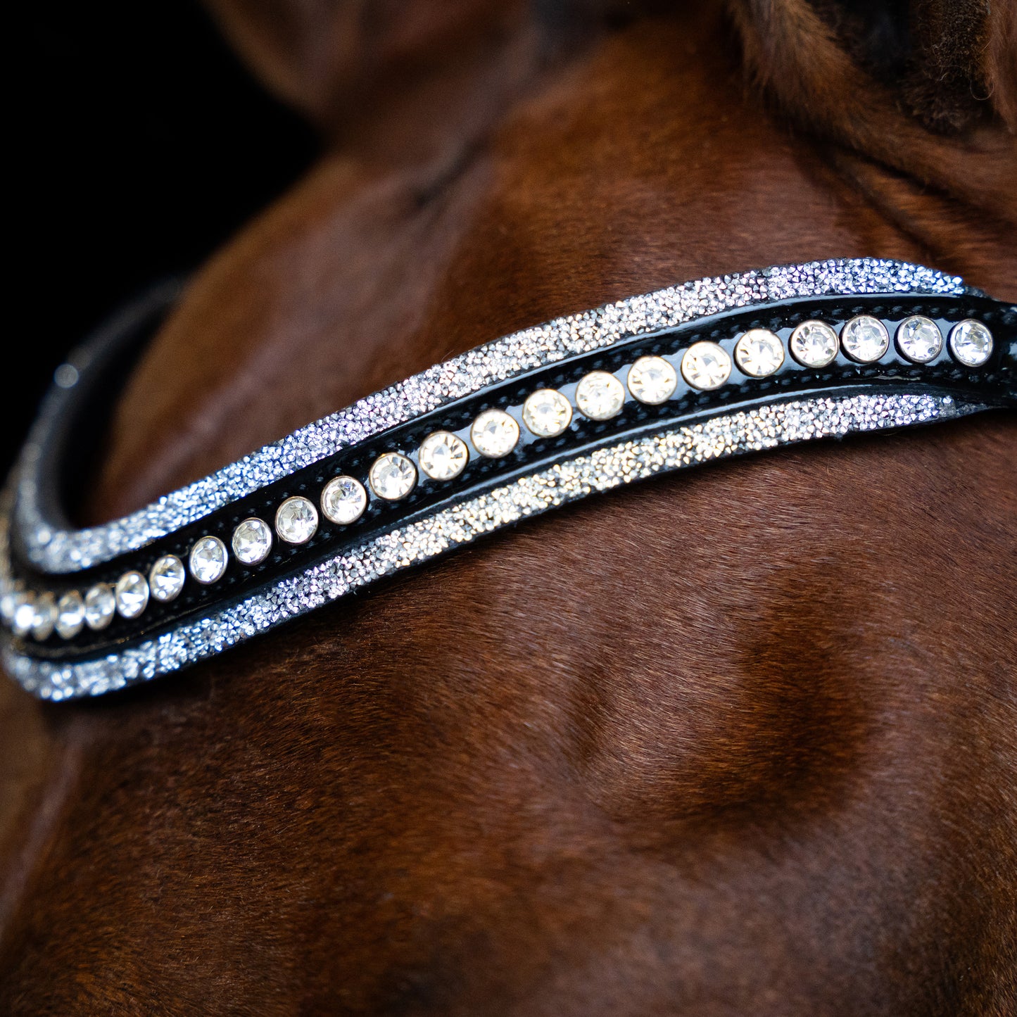 Browband Maxima, läderpannband med Rhinestones