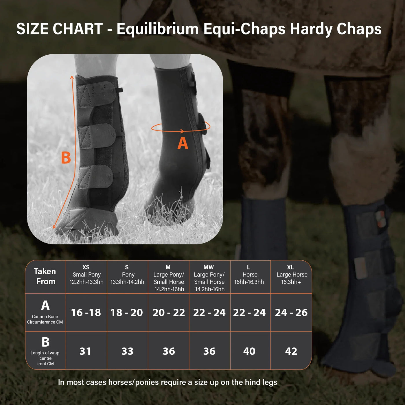 Equi-Chaps Hardy Chaps Equilibrium