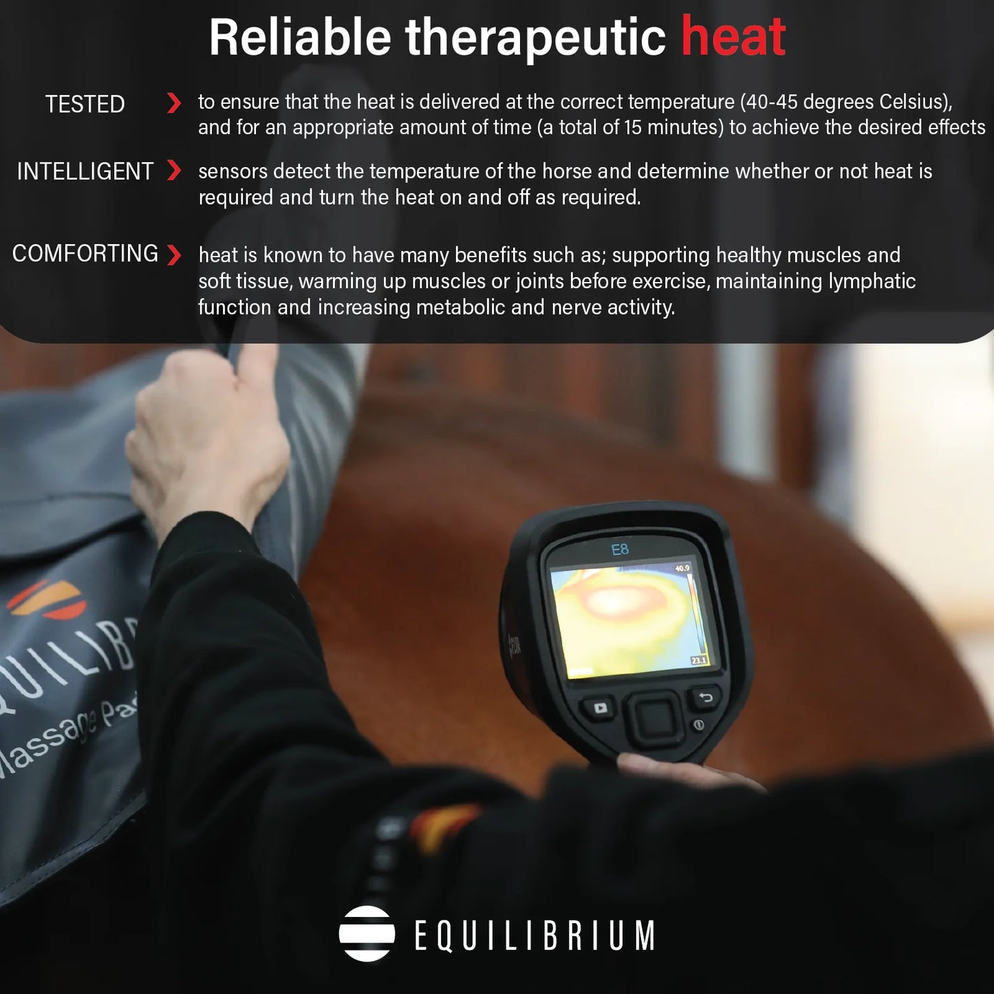 Equilibrium Massage Pad Heatsense, massagepad med värme