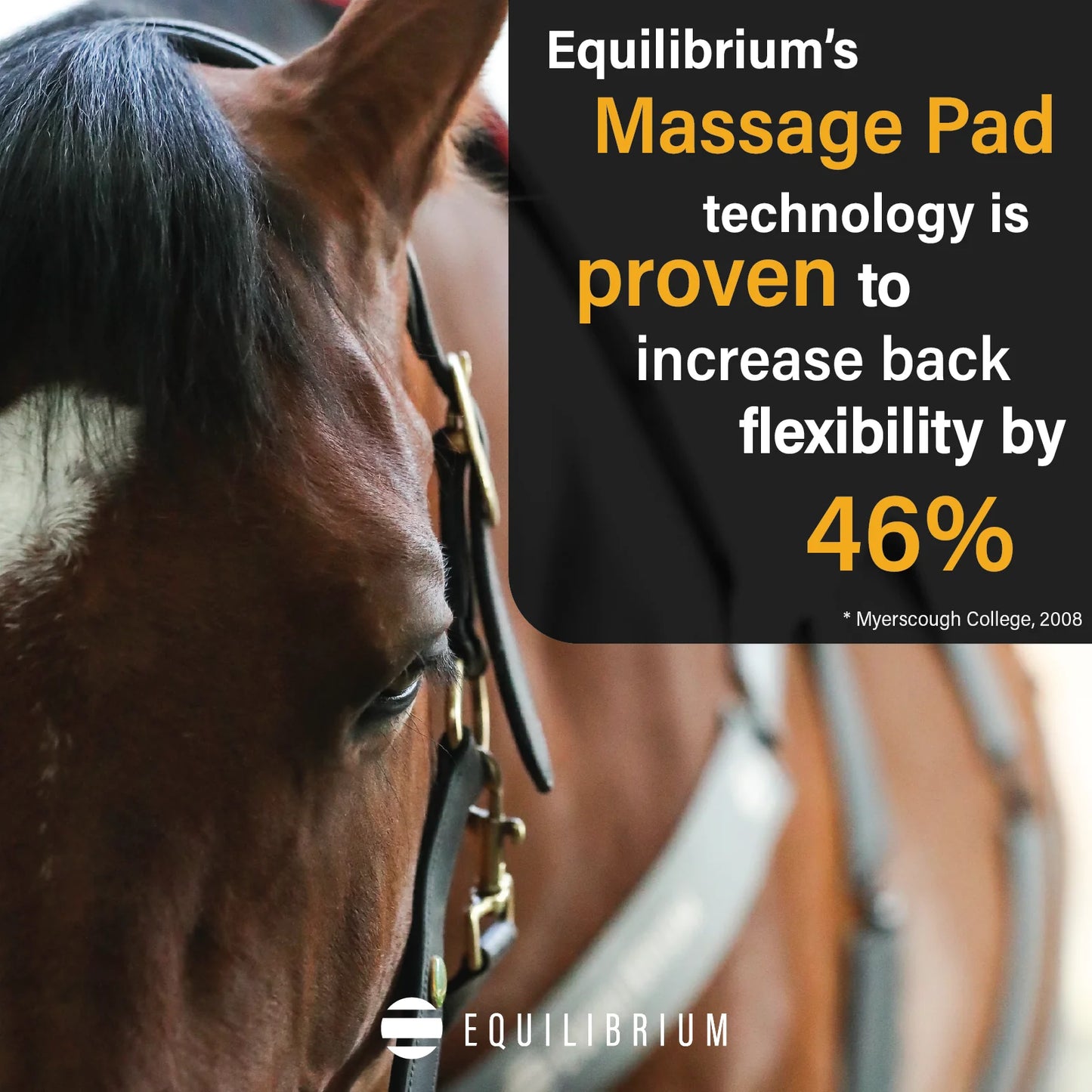 Equilibrium Massage Pad Heatsense, massagepad med värme