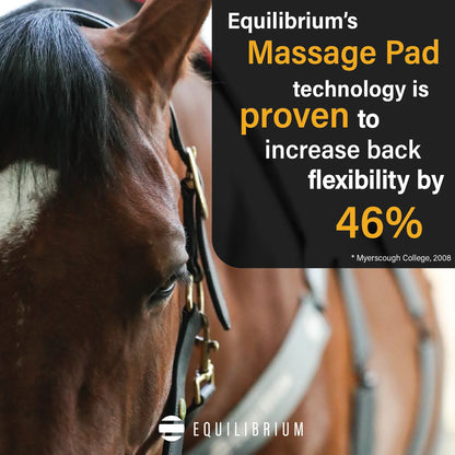 Equilibrium Massage Pad Heatsense, massagepad med värme