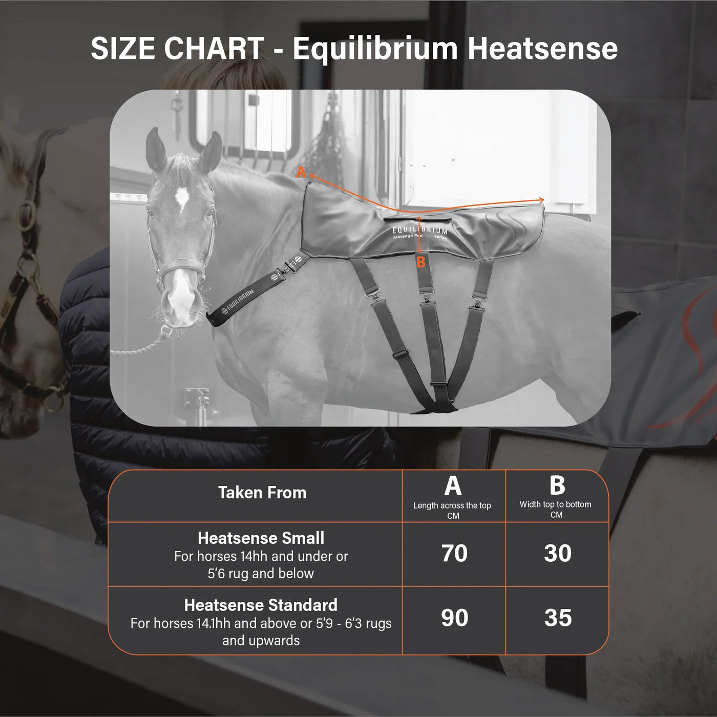 Heatsense Equilibrium