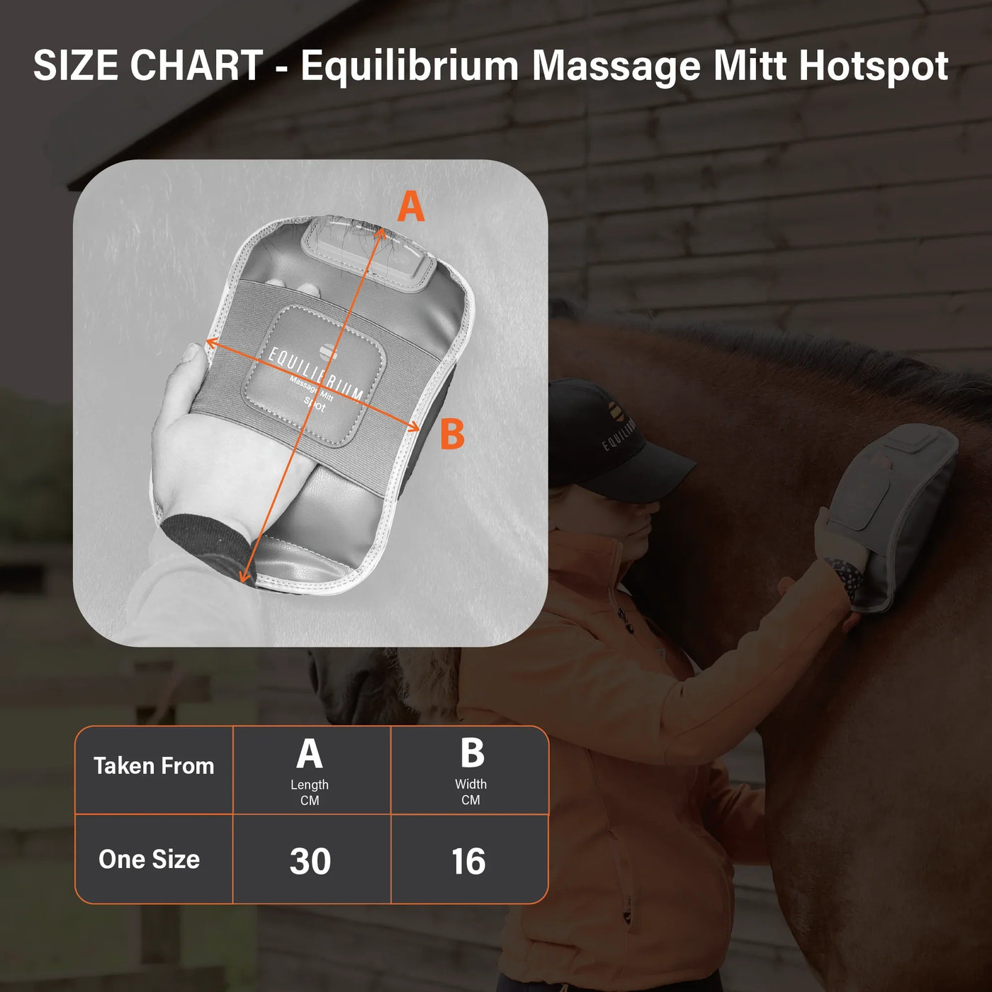 Massage Mitt Hotspot Equilibrium