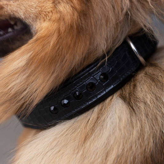 Dog collar Croco Florida, hundhalsband i läder