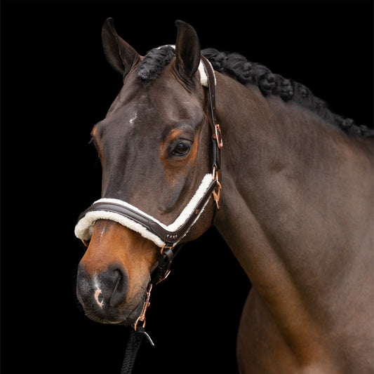 Imperial Riding Headcollar Luxury, lädergrimma med vaddering