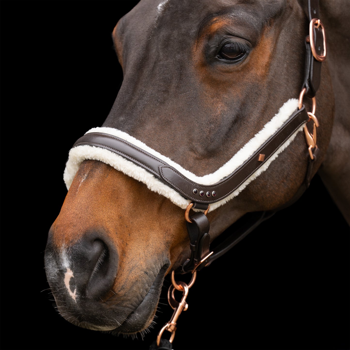 Imperial Riding Headcollar Luxury, lädergrimma med vaddering