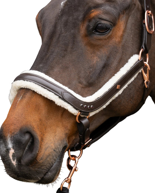 Headcollar Luxury, lädergrimma med vaddering