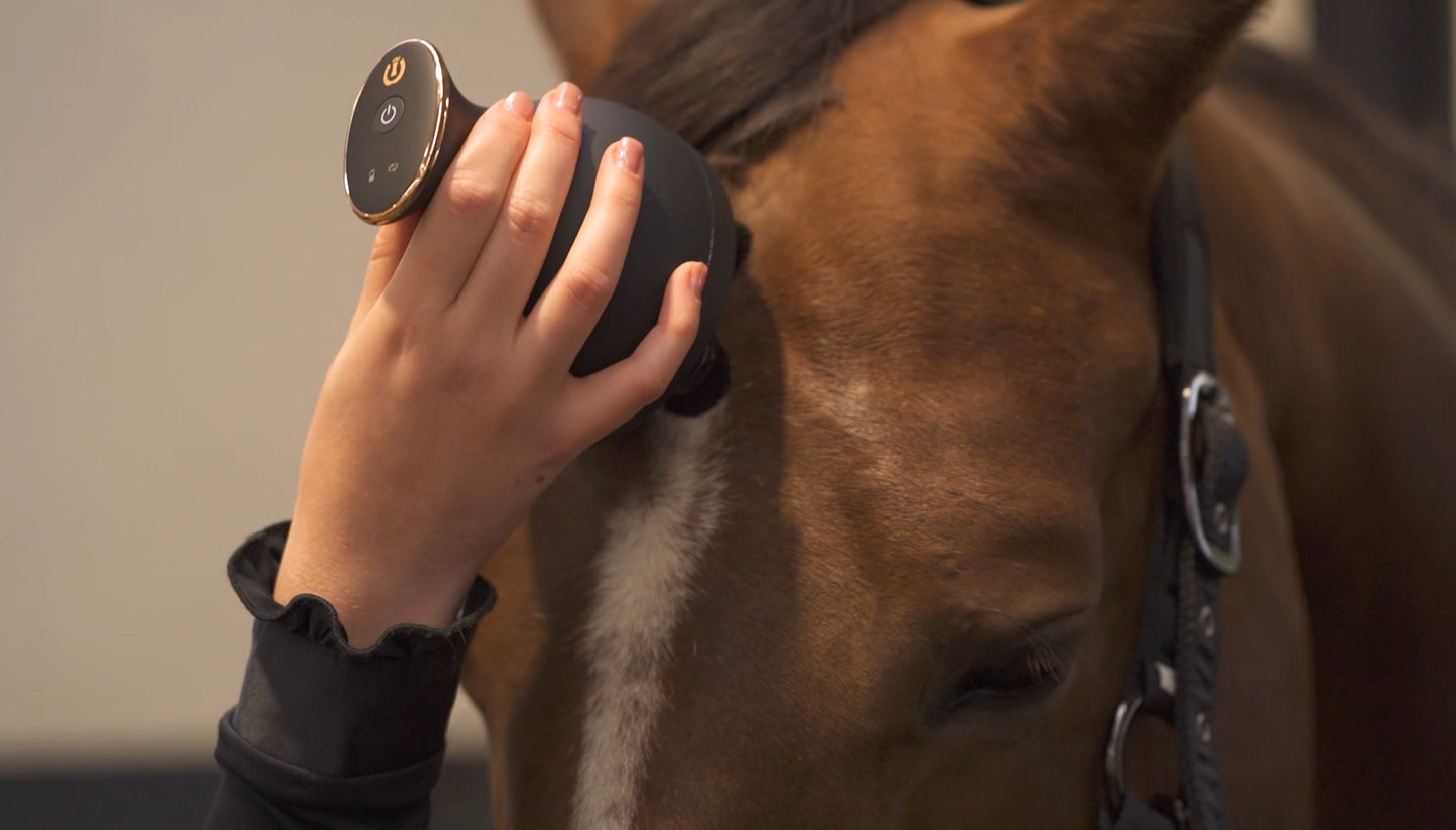 Imperial Riding Volta Grooming & Relaxation Brush, batteridriven massageborste för häst